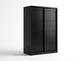 Armoire - bois - 168x59x195 cm - noir - style moderne